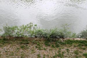 Rome Italy May 9, 2022 Full-flowing river Tiber in the center of Rome. photo