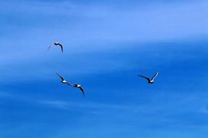 The sky over the Mediterranean Sea in northern Israel. photo