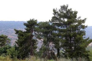 Natural landscape in northern Israel. photo