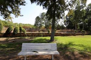 Bench in a city park on the Mediterranean coast photo