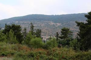 Natural landscape in northern Israel. photo