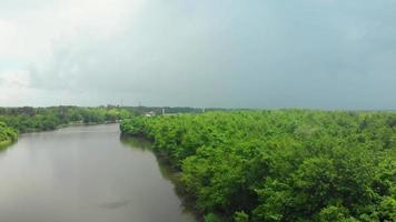 Luchtfoto stijgend uitzicht op het meer in het nationale park Kolkheti na regen in de zomer video