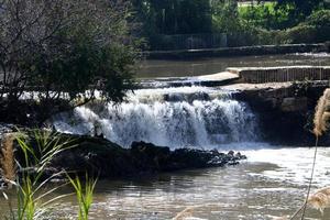 The Yarkon river in the city park in Tel Aviv. photo