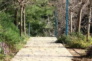 Road for walking in the city park. photo