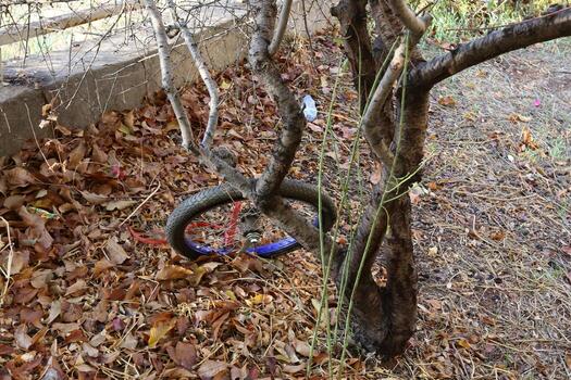 Spike is used for transportation of goods, used in various mechanisms and tools. photo