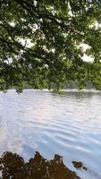 beau paysage au bord d'un lac avec une surface d'eau réfléchissante video