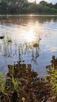 Beautiful landscape at a lake with a reflective water surface video