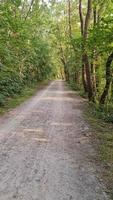 Walking on a small path in a forest area near a lake. video