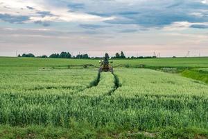 Farmer spraying wheat field with tractor sprayer at spring season photo