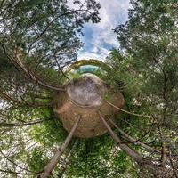 pequeño planeta transformación de panorama esférico 360 grados. vista aérea abstracta esférica en el bosque de pinares en una agradable velada. curvatura del espacio. foto