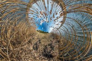 pequeña transformación planetaria con curvatura del espacio. panorama esférico de 360 vistas aéreas en la orilla del lago con matorrales de juncos en verano soleado foto