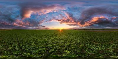 vista de ángulo de 360 grados de panorama hdri esférico completo sin costuras entre campos en la puesta de sol de la tarde de verano con impresionantes nubes rojas rosas azules en proyección equirectangular, listo para realidad virtual vr ar foto