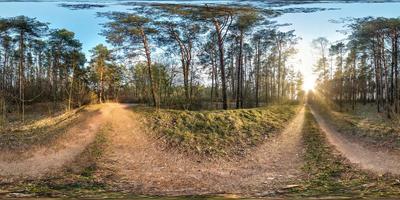 panorama hdri esférico completo vista en ángulo de 360 grados sobre sendero peatonal de grava y sendero para bicicletas en el bosque de pinos en la soleada tarde de primavera en proyección equirectangular. contenido vr ar foto