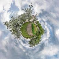 Little planet spherical panorama 360 degrees. Spherical aerial view  in blooming apple garden orchard with dandelions. Curvature of space photo