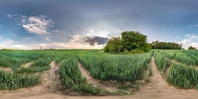 full seamless spherical hdri panorama 360 degrees angle view among meadow rye field overlooking a huge chemical plant in equirectangular projection, VR AR virtual reality content photo