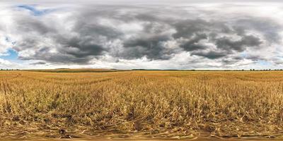 full spherical seamless hdri panorama 360 degrees angle view among rye and wheat fields in summer evening sunset with awesome clouds in equirectangular projection, ready VR AR virtual reality content photo