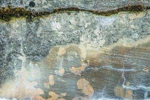 surface of concrete gray wall of a military fortress in cracks covered with moss photo