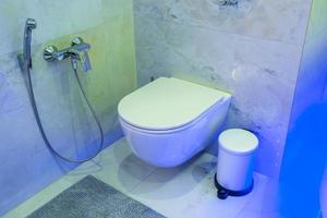 toilet and detail of a corner shower bidet with soap and shampoo dispensers on wall mount shower attachment in neon light photo