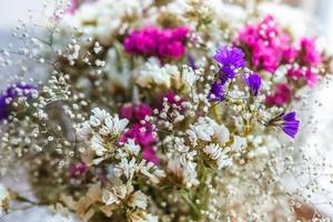 bouquet of dried flowers Limonium white and multicolored statica photo