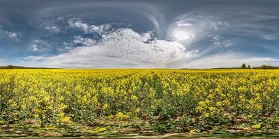 full seamless spherical panorama 360 degrees angle view in n a field rapseed canola colza in equirectangular projection in sunny day. ready for AR VR content photo