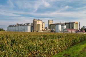 agro-processing plant for processing and storage of agricultural products, flour, cereals and grain photo