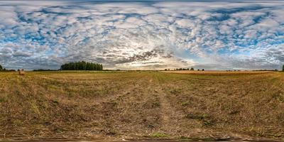 vista de ángulo de 360 grados de panorama hdri esférico completo sin costuras entre campos de centeno y trigo cosechados con fardos de heno en el día de verano con hermosas nubes cirrocumilus en proyección equirectangular foto