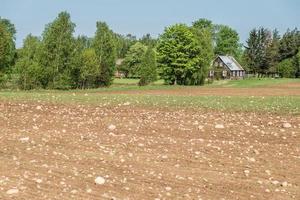 un montón de piedras en un campo de primavera arado cerca de una cabaña de madera o una casa de vacaciones foto