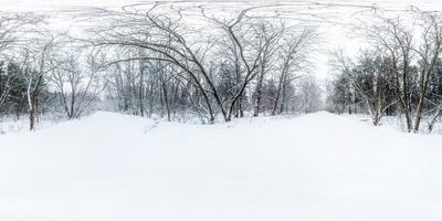 Winter full spherical 360 degrees angle view panorama road in a snowy forest with gray pale sky in equirectangular projection. VR AR content photo