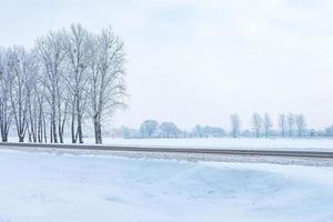 landscape of snowy trees along the highway photo