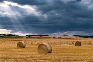 Hay bales under cloudy storm sky on harvested wheat field. photo