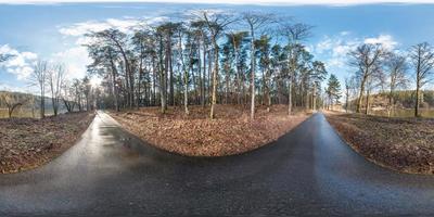 panorama hdri esférico completo 360 grados de ángulo de visión sobre el sendero peatonal asfaltado y el carril bici en el bosque de pinos cerca del río en proyección equirectangular. contenido vr ar foto