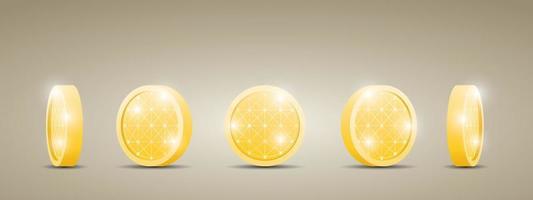 luxury gold coin or token in different views 3d illustration vector