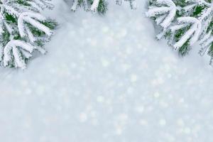 Frozen winter forest with snow covered trees. photo