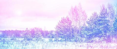 Frozen winter forest with snow covered trees. photo