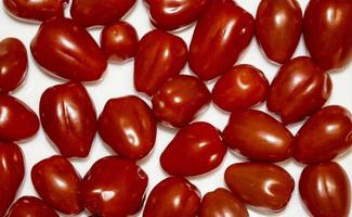 Red ripe tomato on white background. photo