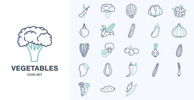 Fresh Vegetables outline coloured icon set vector