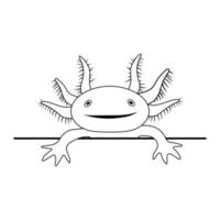 ilustración vectorial de salamandra axolotl aislada sobre fondo blanco. mirando a escondidas una linda sonrisa de ajolote. dibujo en estilo de contorno. vector