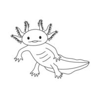 Vector illustration of cute axolotl salamander isolated on white background. Drawing in outline style for coloring book