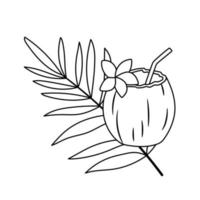 Coconut cocktail with straw, flower and palm leaf isolated on white background. Tropical drink in half of coconut vector outline illustration.
