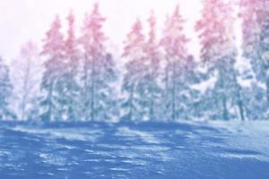 Blurred christmas background. Trees in the snow. Winter Forest photo