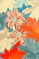 Autumnal abstract background of bright colorful foliage photo