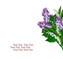 Branch of spring flowers lilac isolated on white background photo