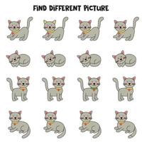 Find gray cat which is different from others. Worksheet for kids. vector