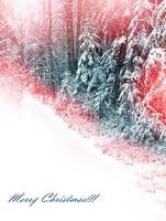 Winter landscape. Snow covered trees photo