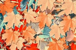 fondo abstracto de hojas de otoño foto