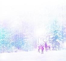 bosque en la escarcha. paisaje de invierno árboles cubiertos de nieve. ciervo foto