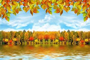 autumn landscape. Nature.