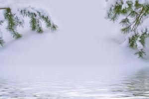 Frozen winter forest with snow covered trees. photo