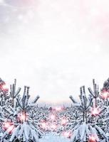 bosque en la escarcha. paisaje de invierno árboles cubiertos de nieve. foto