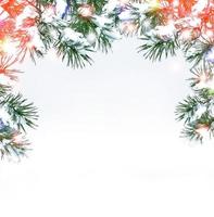 Festive Christmas frame with snowy spruce branches photo